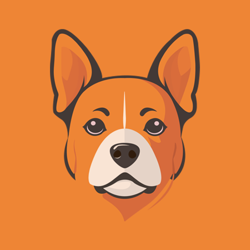 皮皮影视播放器