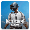 pubg地铁逃生国际服