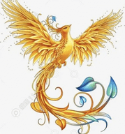 凤凰影视app安卓