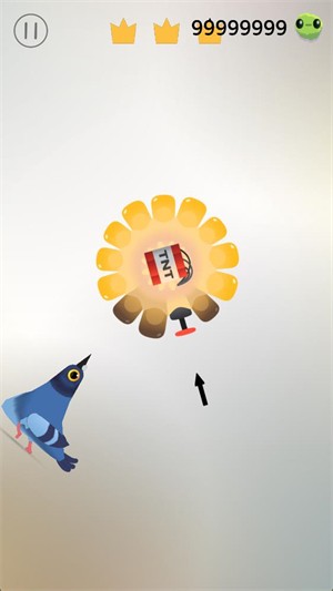 疯狂的鸽子官方版