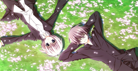 樱之诗安卓直装版截图2