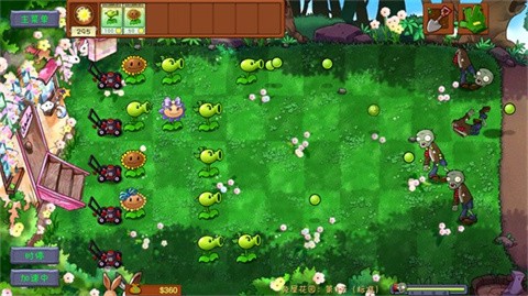 植物大战僵尸共生版最新版截图2