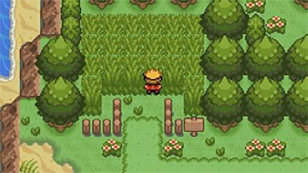 口袋妖怪釉色汉化版截图1