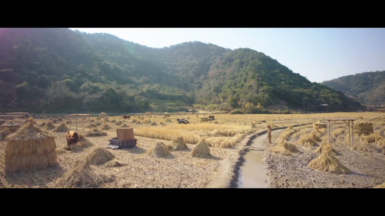 麒麟影视电视版