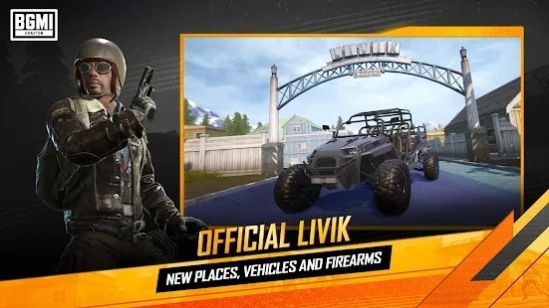 bgmi印度服截图1