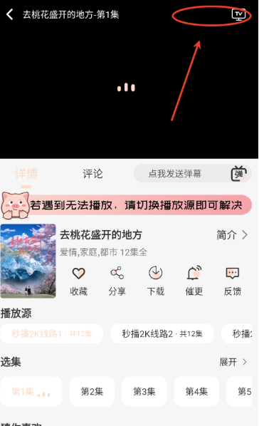 小猪4K追剧截图4