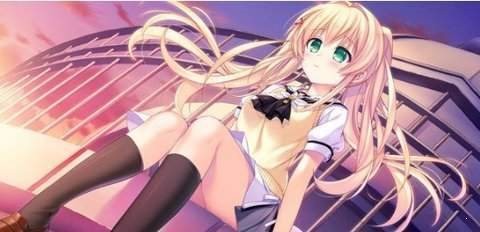 夏日口袋安卓手机版截图2