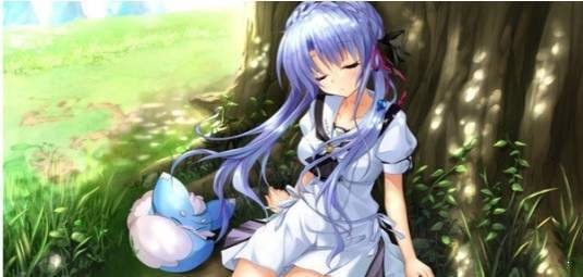 夏日口袋安卓手机版截图3