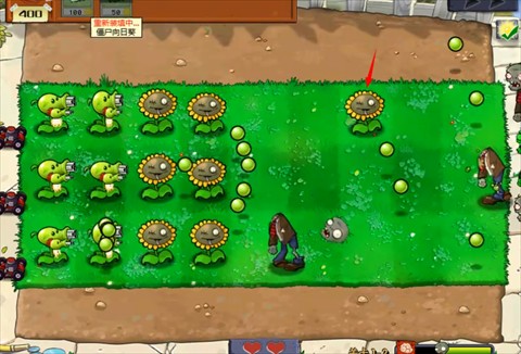 植物大战僵尸喵版