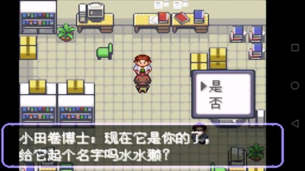 口袋妖怪刽曜之影6