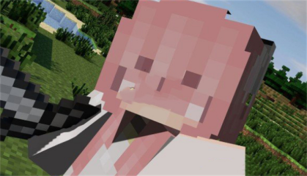 我的世界猫娘模组手机版截图3