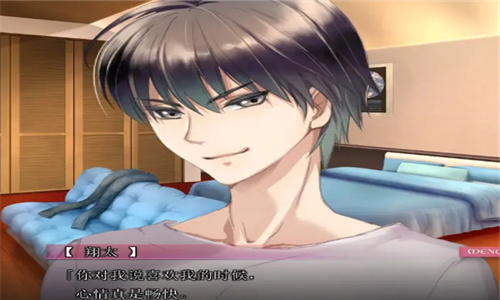 鸟笼婚姻汉化版直装截图3