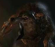 古墓丽影9手游版