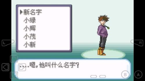 口袋妖怪圣灰汉化最终版截图3