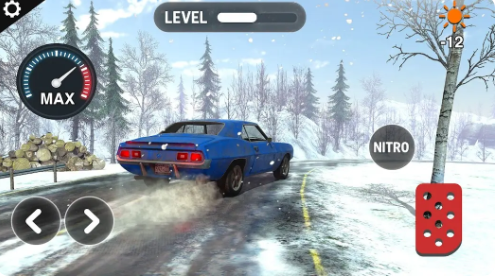 我的冬季驾驶汽车模拟器截图2