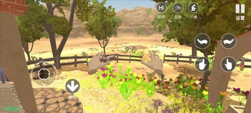 小忍计划游戏图片6