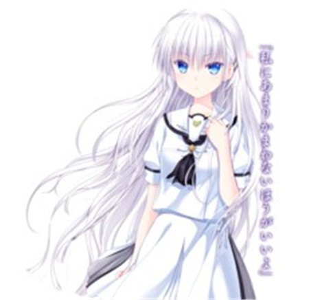 夏日口袋中文版