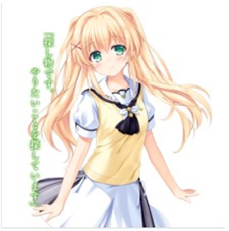 夏日口袋中文版