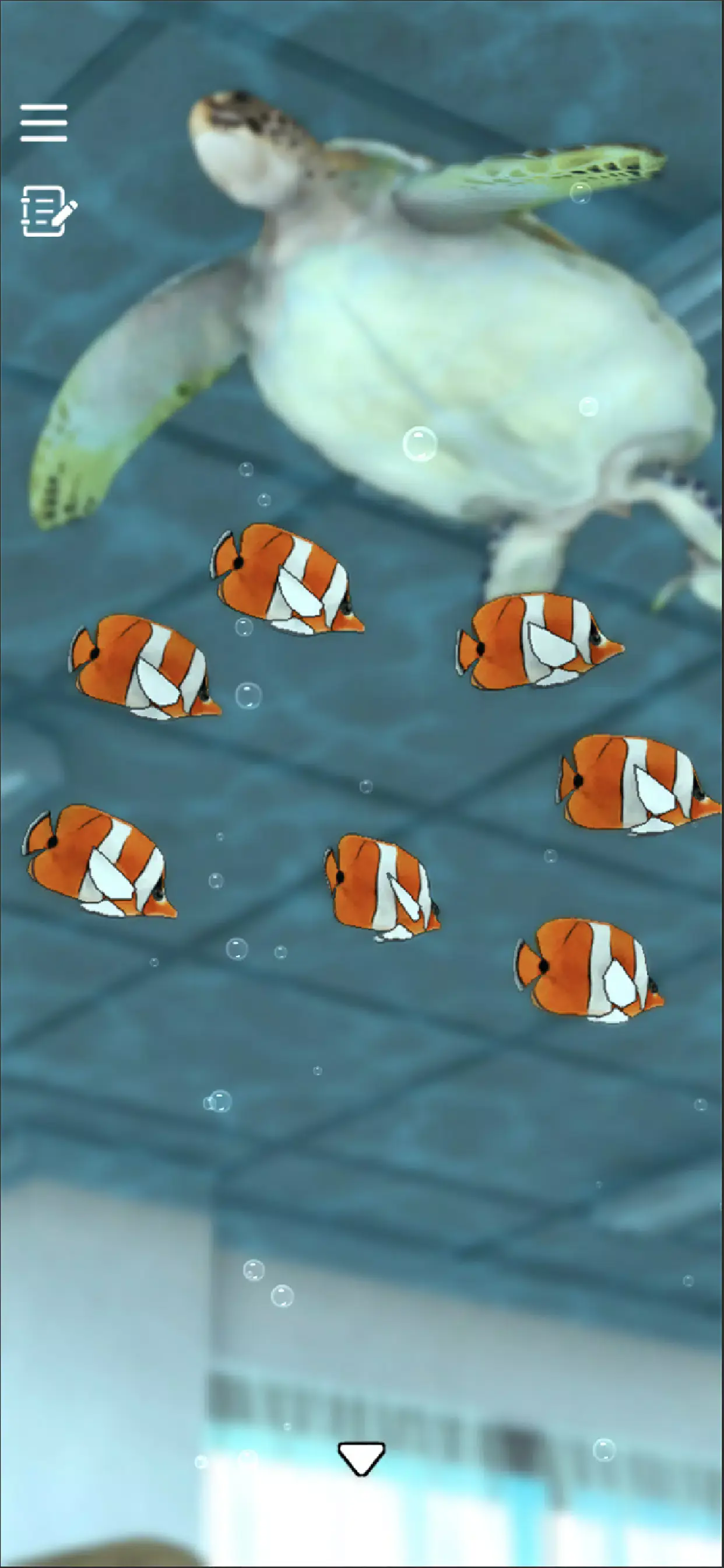 密室逃脱青色放课后截图3