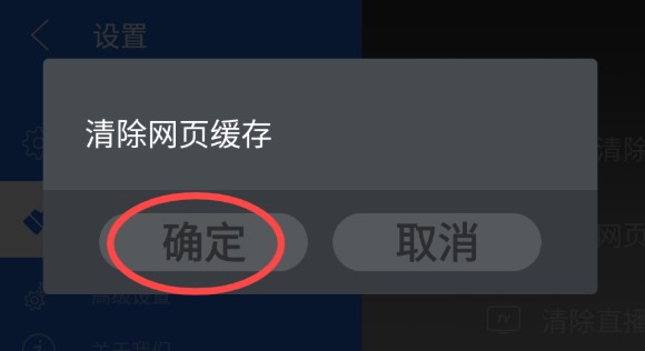 白夜浏览器TV版