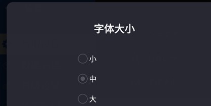 白夜浏览器TV版