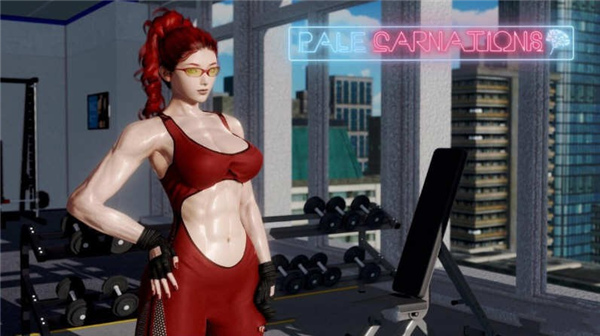 康乃馨俱乐部安卓直装截图3