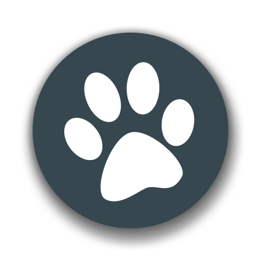 兽音译者翻译器app