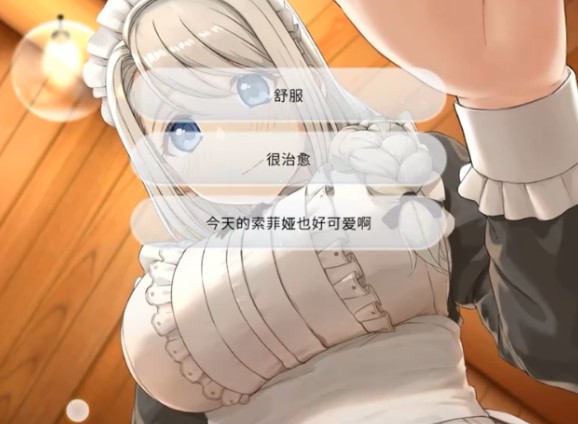 我与索菲亚的秘密汉化版游戏安装