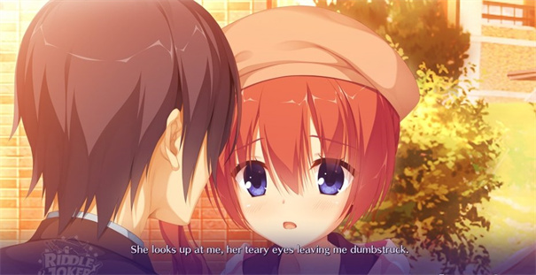 谜语小丑冷狐直装版截图1