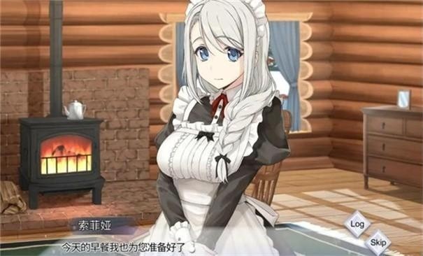 我与索菲亚的秘密游戏玩法-2