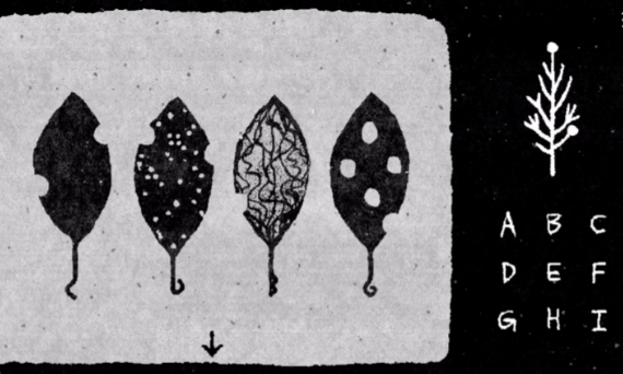 她的树游戏安卓版截图3