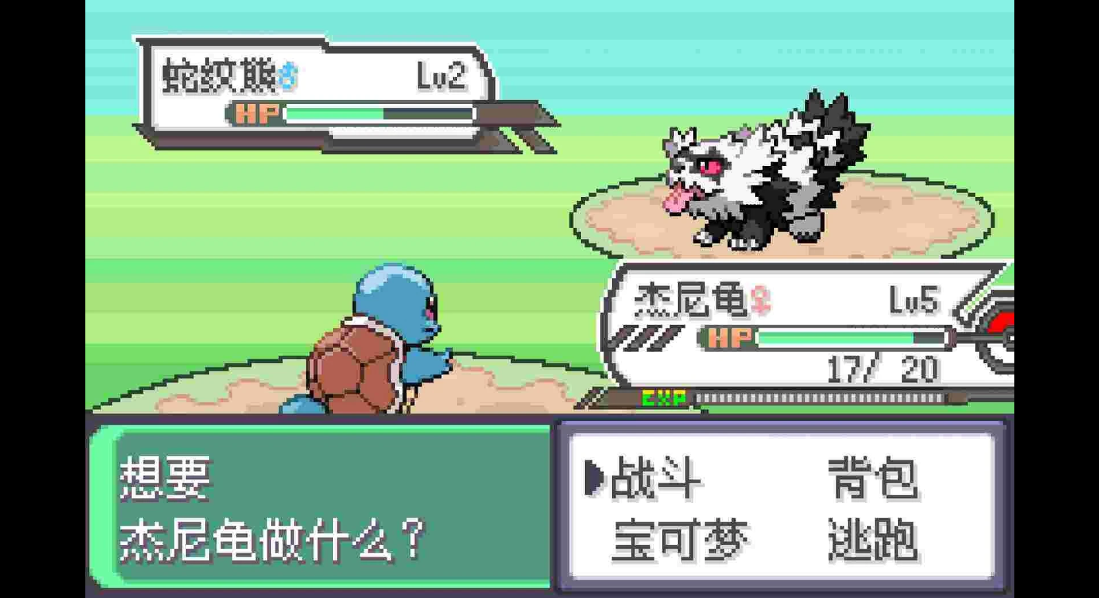 宝可梦究极绿宝石解限版截图3