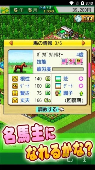 顶级赛马牧场物语截图1