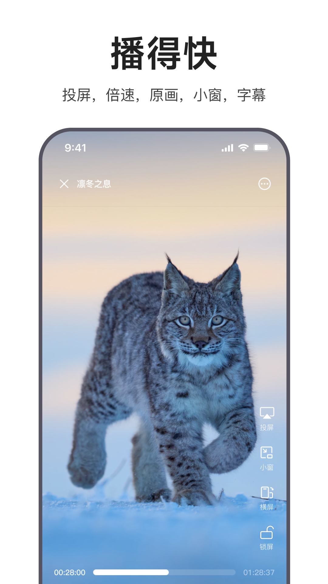 迅雷浏览器最新版截图1