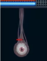 异形探索全解锁版