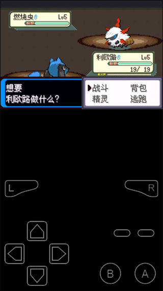 口袋妖怪决心汉化版截图2