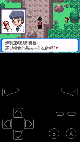 口袋妖怪决心汉化版