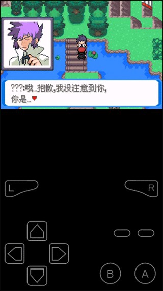 口袋妖怪决心汉化版