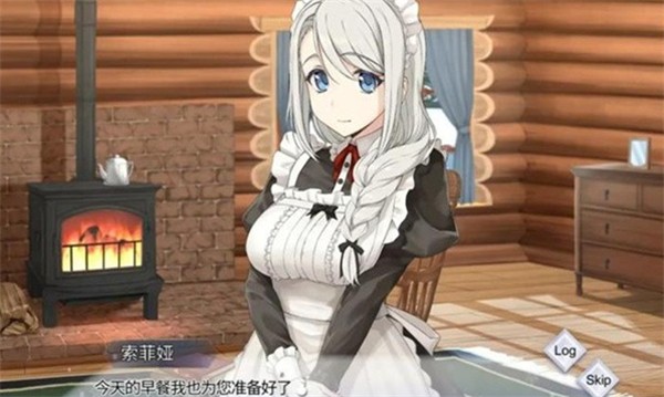 我与索菲亚的秘密手游