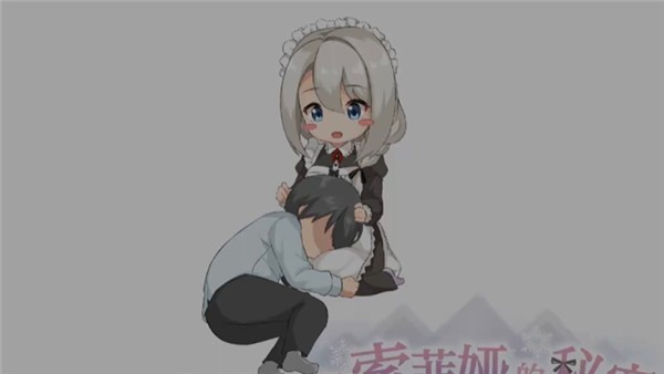 我与索菲亚的秘密手游