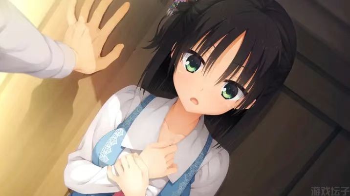 千恋万花汉化版最新版