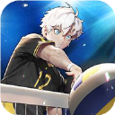 the spike(排球高手)