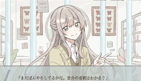 在标本箱中等待羽化