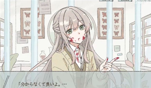 在标本箱中等待羽化