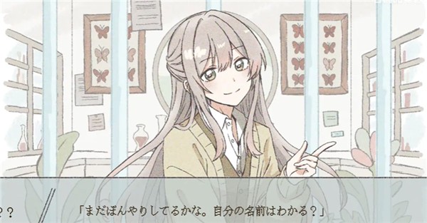 在标本箱中等待羽化