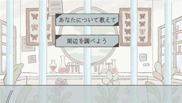 在标本箱中等待羽化