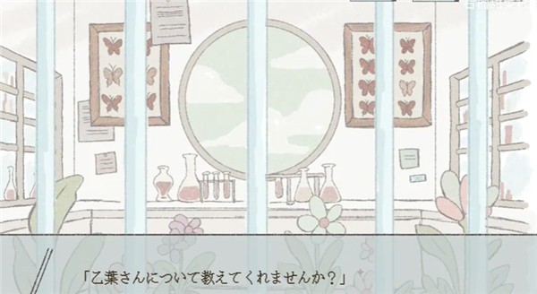 在标本箱中等待羽化