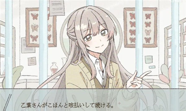 在标本箱中等待羽化