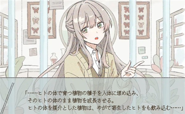 在标本箱中等待羽化