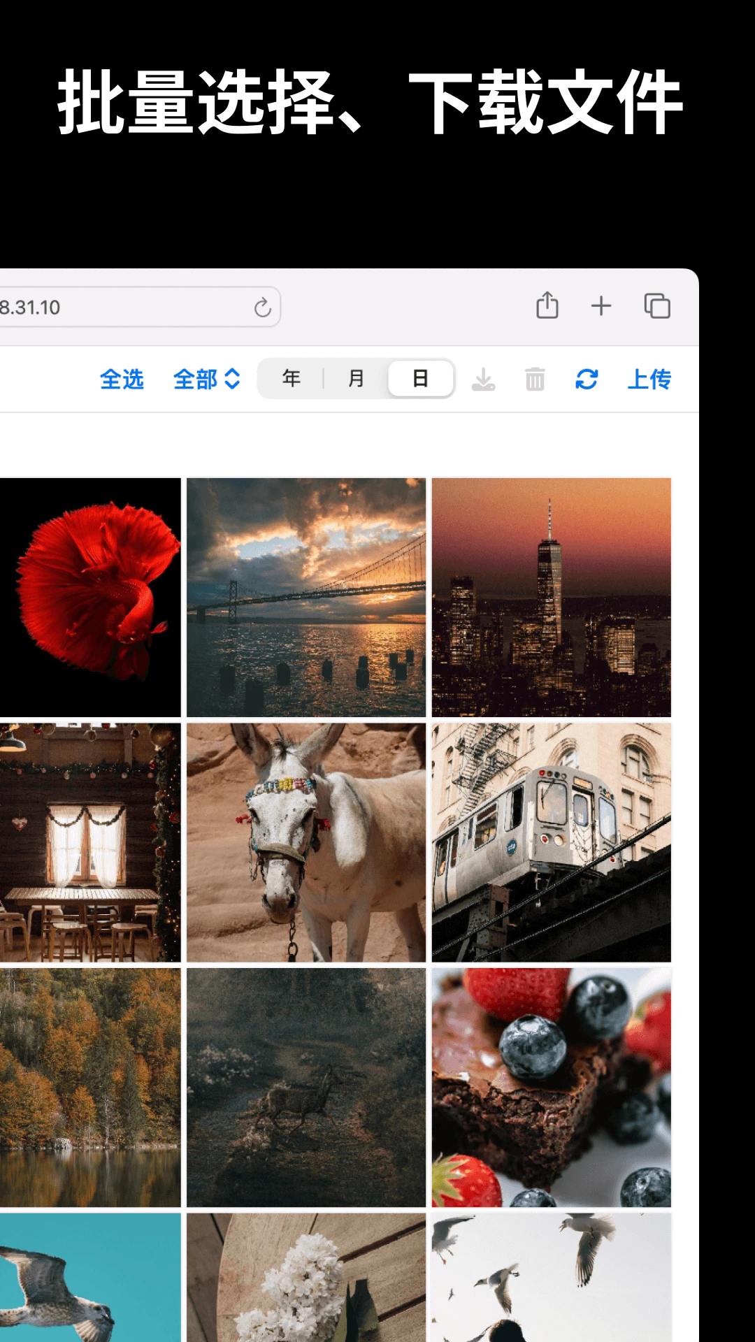 文件闪传app截图2